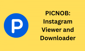 Picnob: #1 Instagram Viewer and Downloader Tool